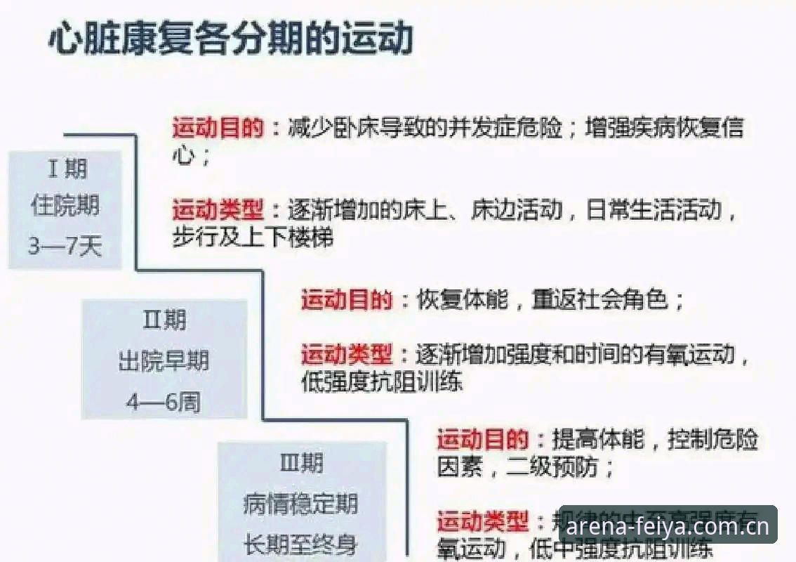从伤病到决赛：梅里诺康复状态深度解析与欧冠观赛实用指南